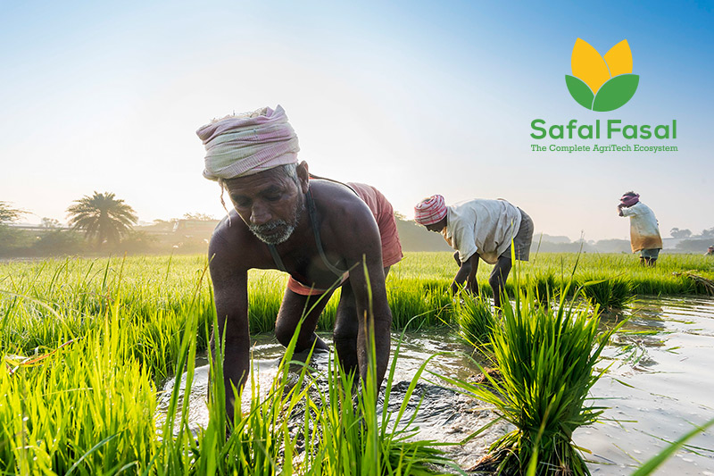 Indian agricultural community goes digital
