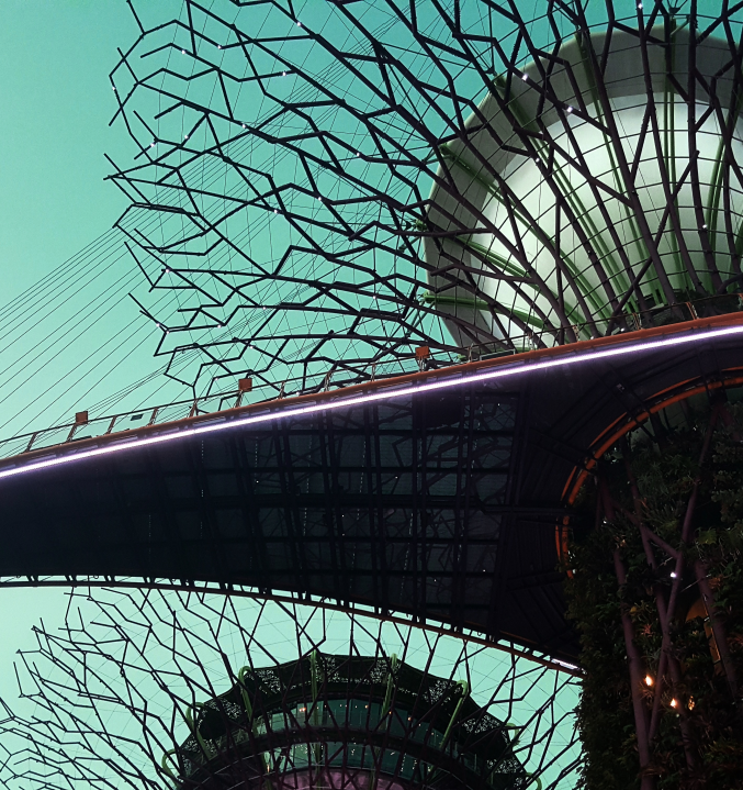 the-roaming-platypus-311630-unsplash