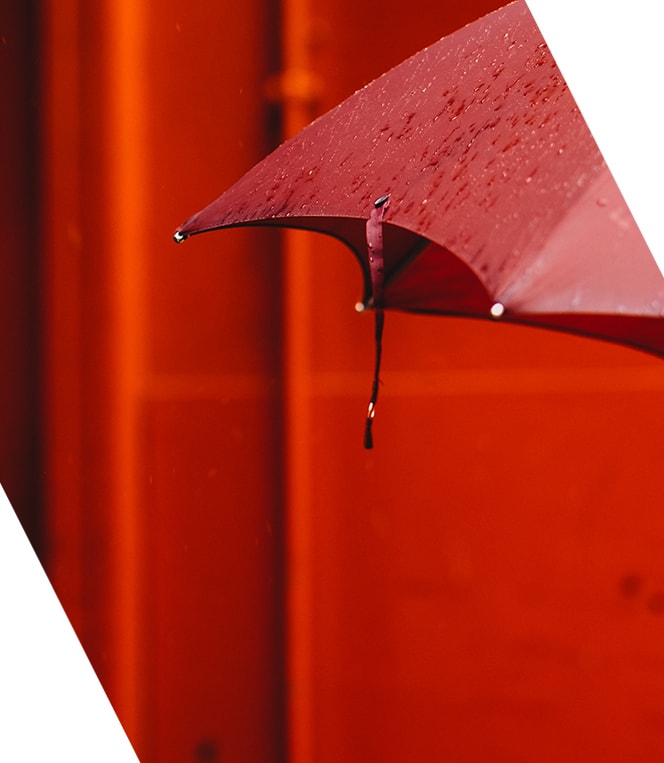 BPC-Solutions-Fraud-Mgt